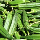 Clemson Spinelss Okra 25 Seeds