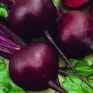 Detroit Dark Red Beet 25 Seeds