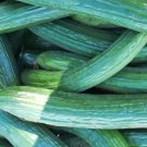 Dark Armenian Cucumber 20 Seeds