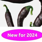 Pasillo Bajio Hot Pepper 15 Seeds
