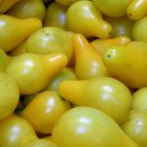 Yellow Pear Tomato 25 Seeds