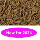 Caraway 25 Seeds