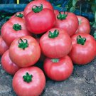 Bradley Tomato 25 Seeds