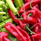 Anaheim Chili Pepper 25 Seeds