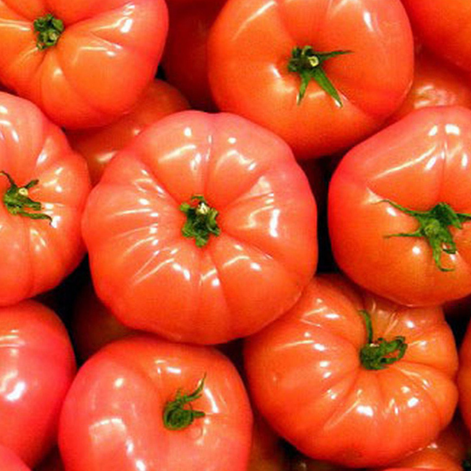 Brandywine Tomato 25 Seeds