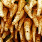 All American Parsnip 25 Seeds