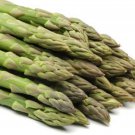 Mary Washington Asparagus 25 Seeds