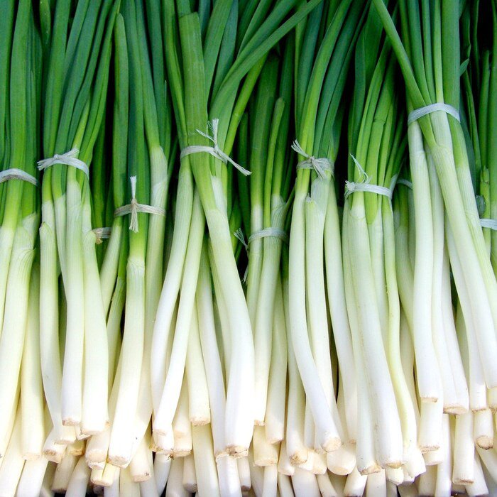 Evergreen White Bunching Scallion Seeds Allium Fistulosum B176