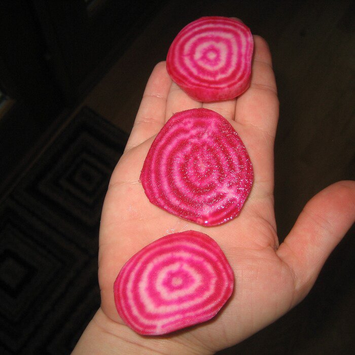Chioggia Beet Seeds Beta Vulgaris B9