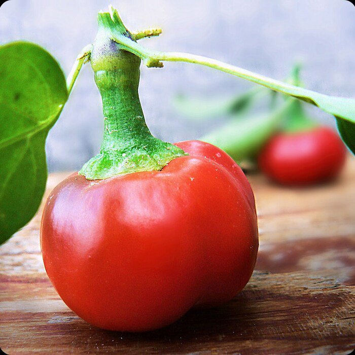 Hot Red Cherry Pepper Seeds Capsicum Annuum B309