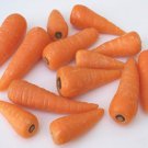 Little Finger Carrot Seeds Daucus Carota B180