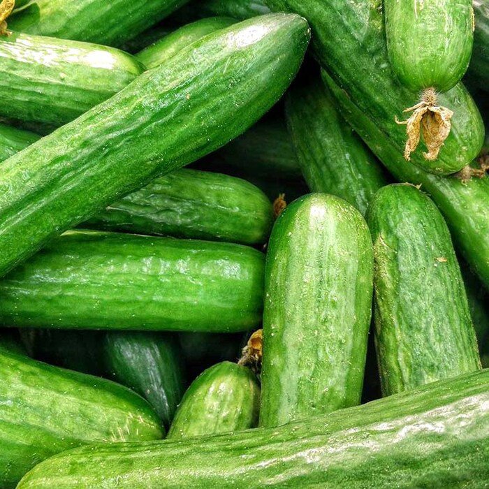 Beit Alpha Cucumber Seeds Cucumis Sativus B211
