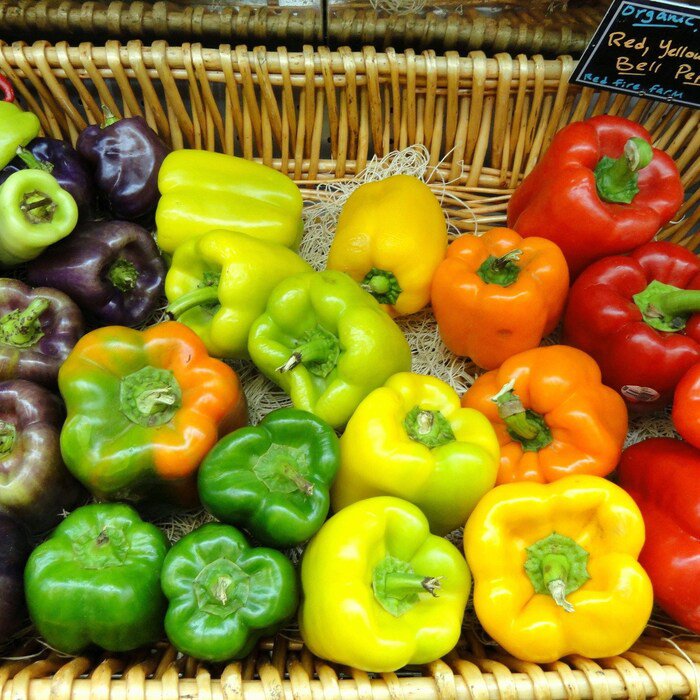 Rainbow Bell Pepper Mix Seeds Capsicum Annuum B37