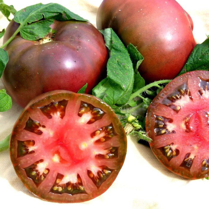 Cherokee Purple Tomato Seeds Solanum Lycopersicum B351