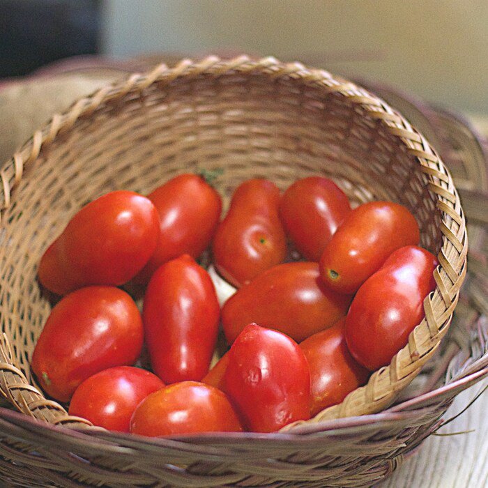 Roma Italian Tomato Seeds Solanum Lycopersicum B226