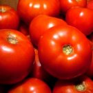 Rutgers Tomato Seeds Lycopersicon Lycopersicum B177
