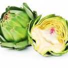Green Globe Artichoke Seeds Cynara Cardunculus Var. Scolymus B112