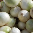 Sweet White Spanish Onion Seeds Allium Cepa B106