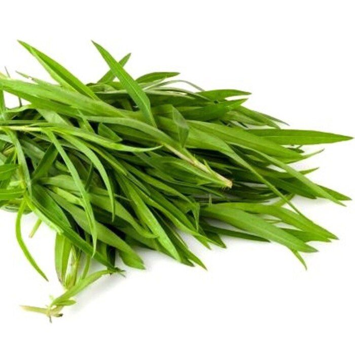 Tarragon Seeds Artemisia Dracunculus B91