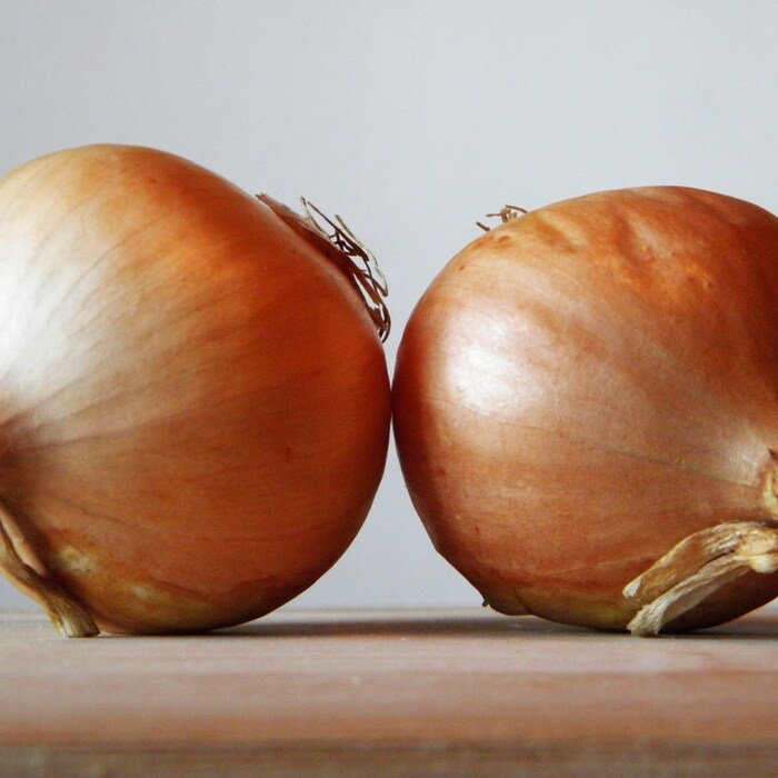 Texas Early Grano Onion Seeds Allium Cepa B53