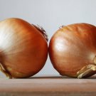 Texas Early Grano Onion Seeds Allium Cepa B53