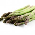 Mary Washington Asparagus Seeds Asparagus Officinalis B172