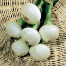 Crystal White Wax Onion Seeds Allium Cepa B233