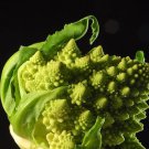 Romanesco Broccoli Seeds Brassica Oleracea B124