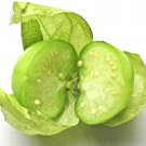 Toma Verde Tomatillo Seeds Physalis Philadelphica B273