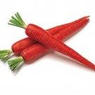 Atomic Red Carrot Seeds Daucus Carota B22