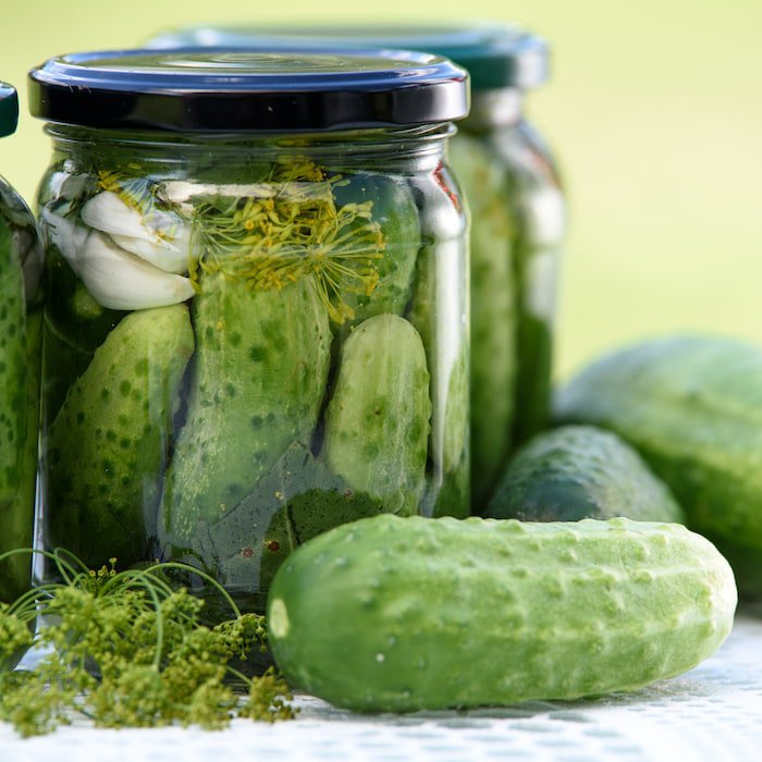 National Pickling Cucumber Seeds Cucumis Sativus B231