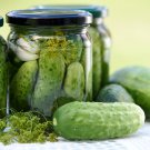 National Pickling Cucumber Seeds Cucumis Sativus B231