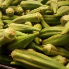Emerald Green Okra Seeds Abelmoschus Esculentus B332