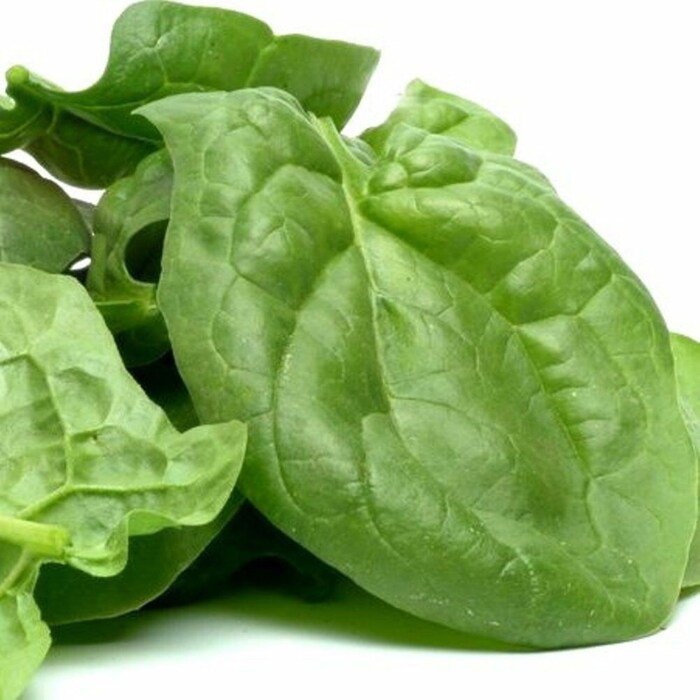 Viroflay Spinach Seeds Spinacia Oleracea B322