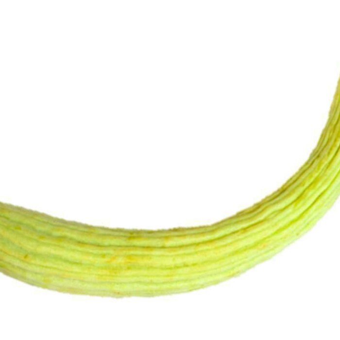 Long Pale Armenian Cucumber Seeds Cucumis Melo Var. Flexuosus B335