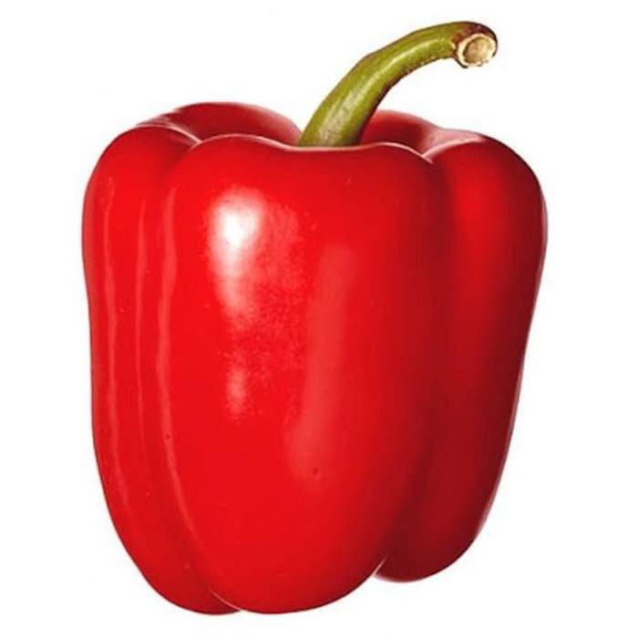 Big Red Sweet Bell Pepper Seeds Capsicum Annuum B352