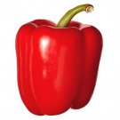 Big Red Sweet Bell Pepper Seeds Capsicum Annuum B352