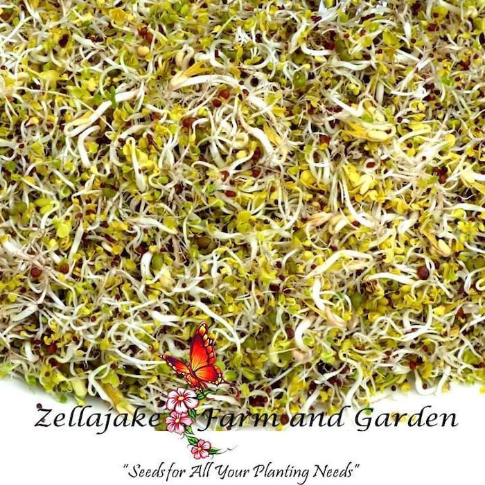 Asian Spicy Sprouting Mix Seeds B333