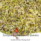 Asian Spicy Sprouting Mix Seeds B333