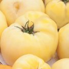 White Wonder Beefsteak Tomato Seeds Lycopersicon Lycopersicum B221