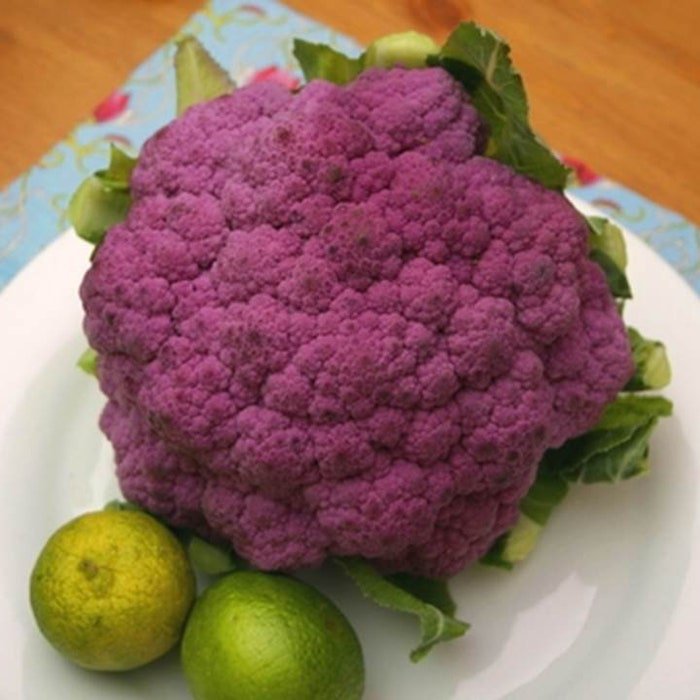 Purple Sprouting Broccoli Seeds Brassica Oleracea Var. Italica B245