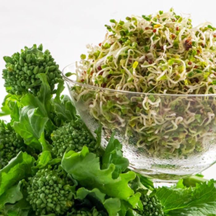 Rapini Broccoli Rabe Seeds Brassica Rapa Var. Ruvo B117