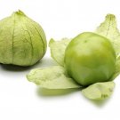 Grande Rio Verde Tomatillo Seeds Lycopersicon Esculentum B269