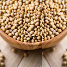Soybean Seeds Glycine Max C20