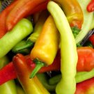 Hungarian Hot Wax Pepper Seeds Capsicum Annuum B141