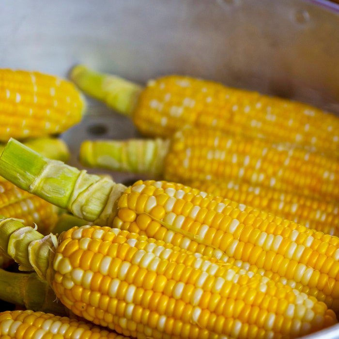 Delectable Bicolored Corn Seeds Zea Mays M3