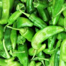 Anaheim Pepper Seeds Capsicum Annuum B138