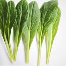 Japanese Mibuna Cabbage Seeds Brassica Rapa Var. Nipposini B293