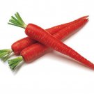 Atomic Red Carrot 60 Seeds 1/10 Gram B22