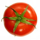 Wisconsin 55 Tomato Seeds Solanum Lycopersicum B98